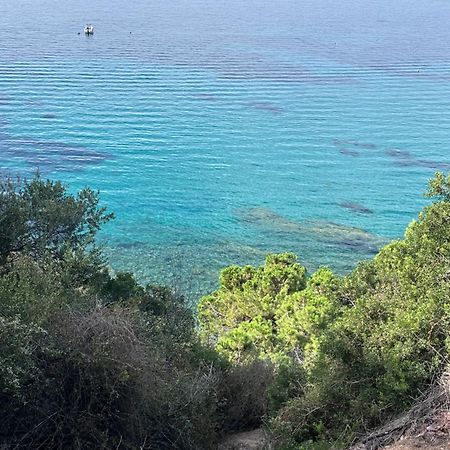 Manon B&B Roquebrune-Cap-Martin Exterior photo