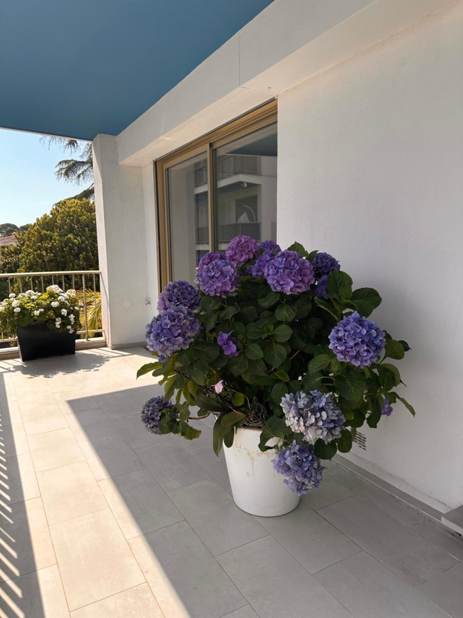 Manon B&B Roquebrune-Cap-Martin Exterior photo